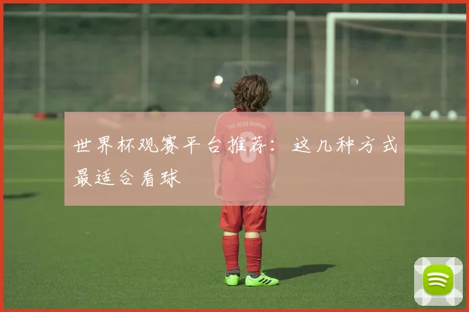 世界杯观赛平台推荐:这几种方式最适合看球