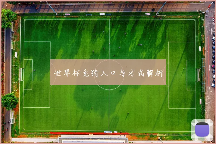 世界杯竞猜入口与方式解析