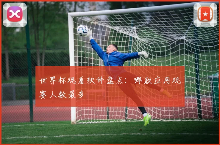 世界杯观看软件盘点:哪款应用观赛人数最多