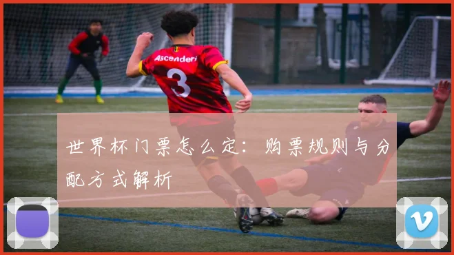 世界杯门票怎么定：购票规则与分配方式解析