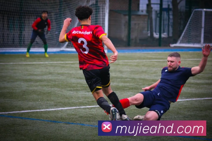 必一运动体育官网平台生态图