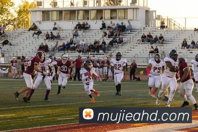 必一运动体育官网全站App